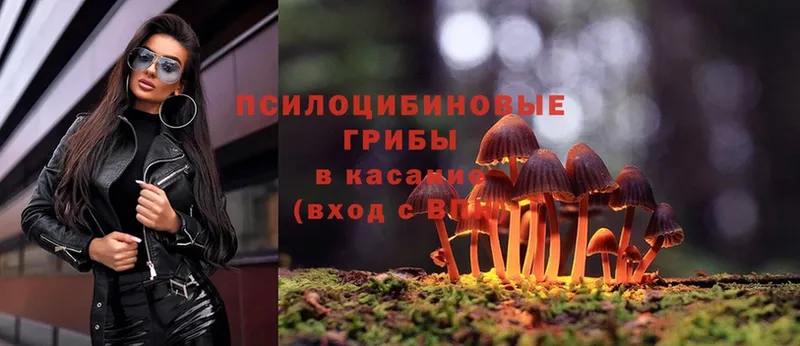 где продают наркотики  Навашино  Галлюциногенные грибы MAGIC MUSHROOMS 