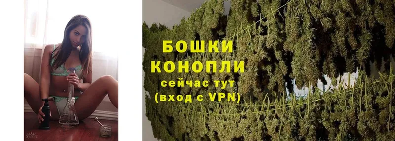 Конопля OG Kush  МЕГА ссылка  Навашино  закладки 